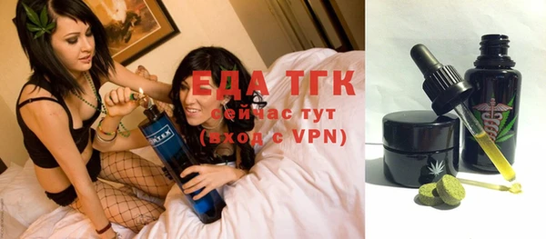 индика Михайлов