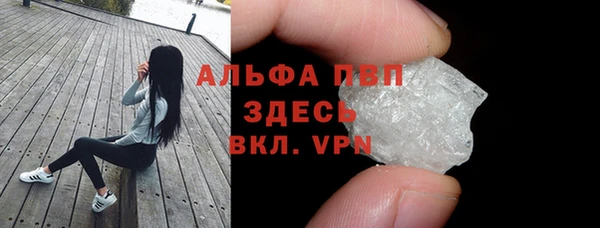 стаф Надым