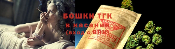 стаф Надым