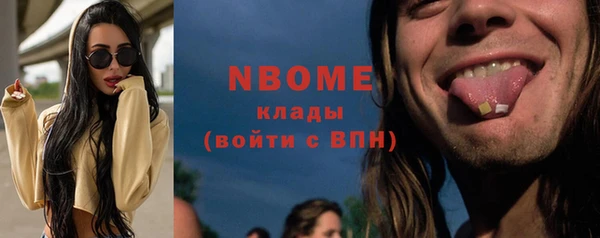 индика Михайлов