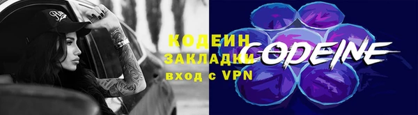 индика Михайлов