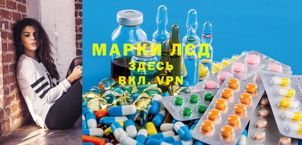 стаф Надым