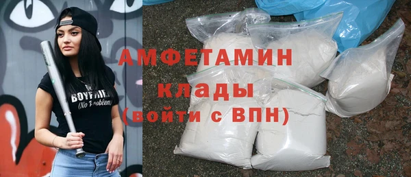 индика Михайлов