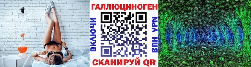 Псилоцибиновые грибы Psilocybine cubensis  Полярные Зори 