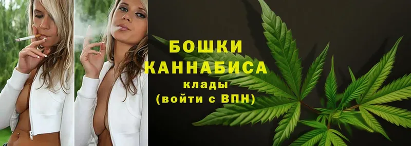 Бошки Шишки LSD WEED  Полярные Зори 